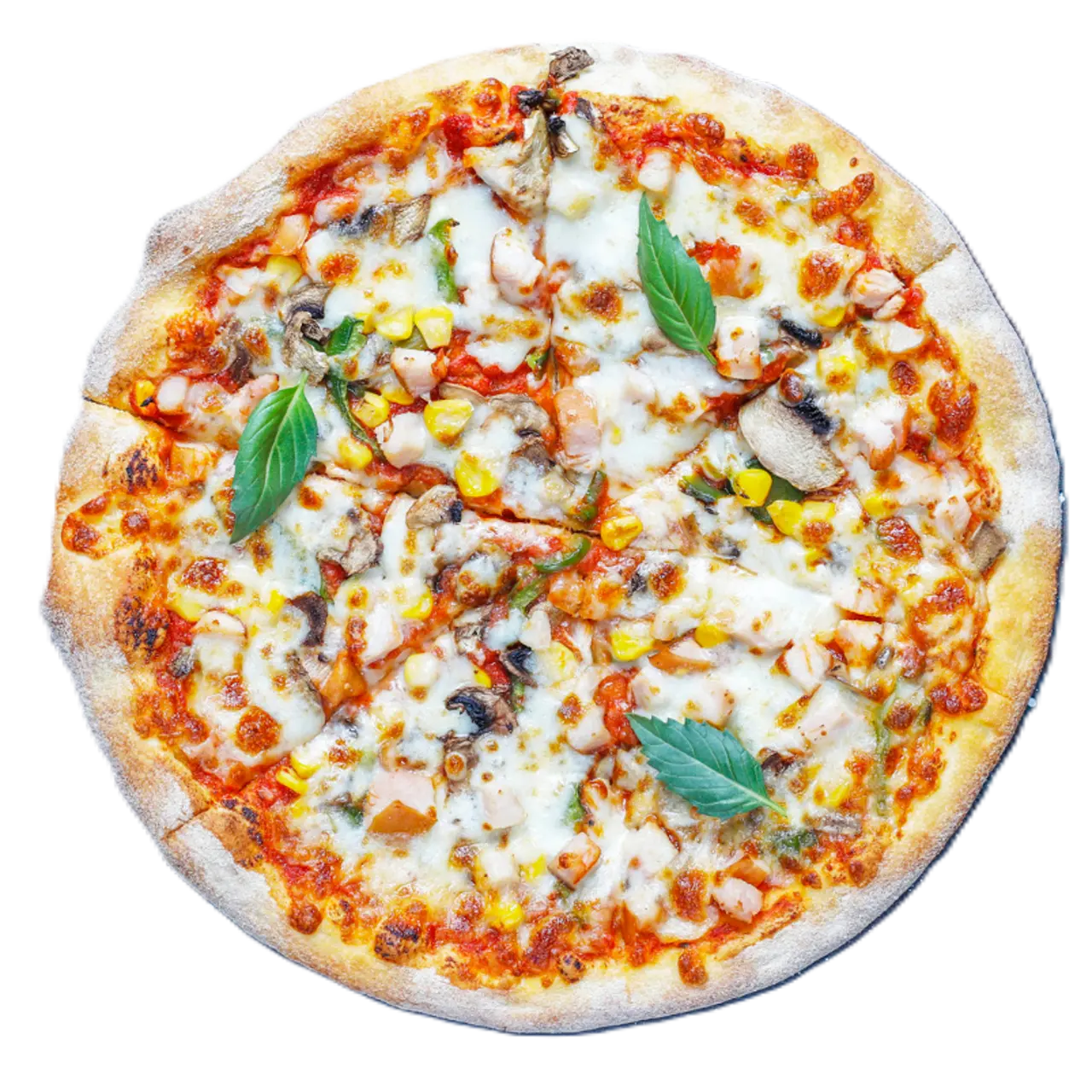 Mushroom Masala Pizza